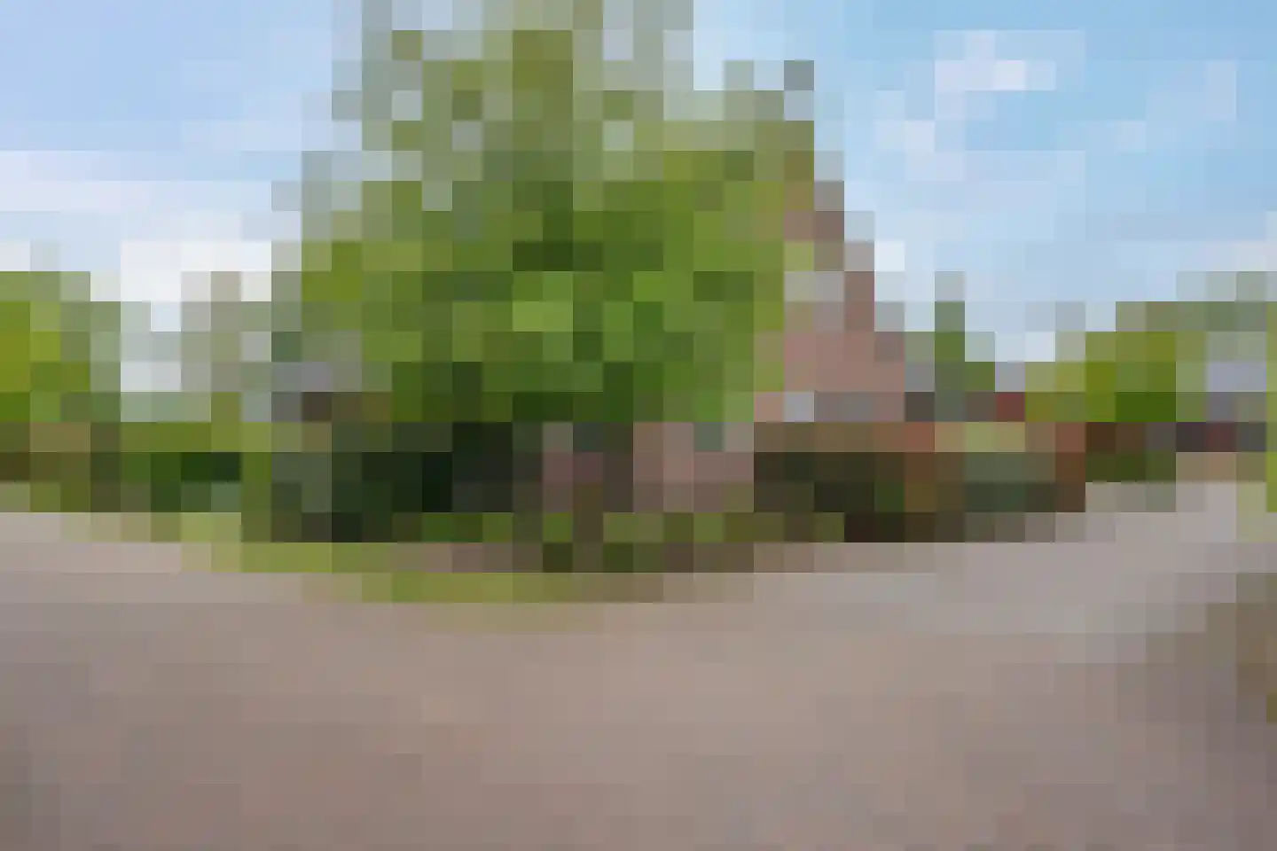 Kalterbroeken 60 Diever thumbnail 40