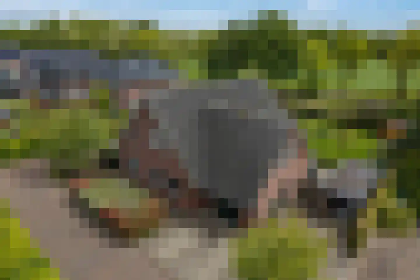 Kalterbroeken 60 Diever thumbnail 43
