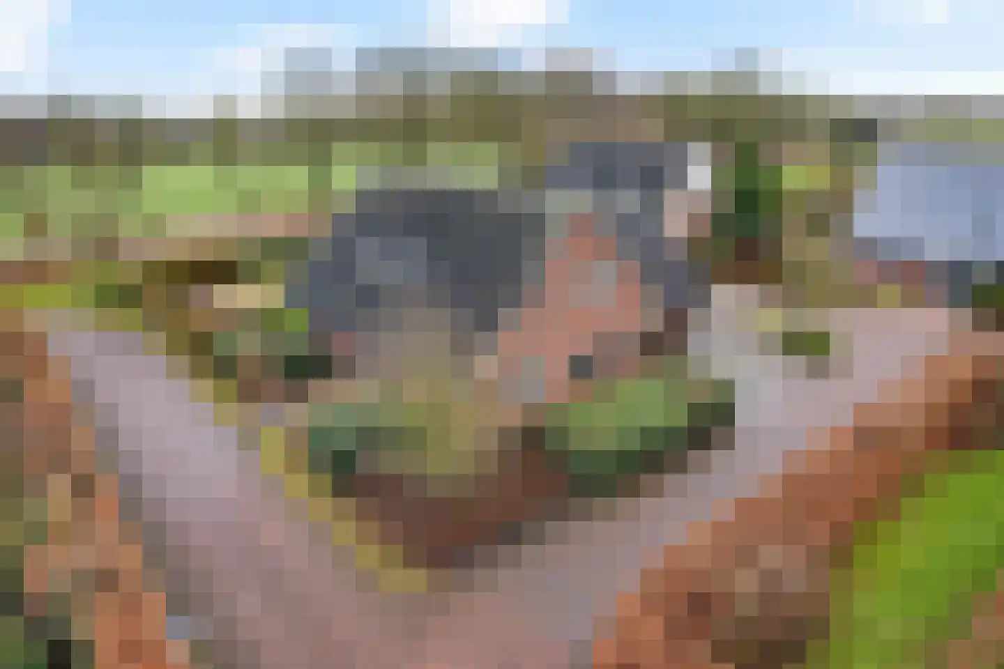 Kalterbroeken 60 Diever thumbnail 43