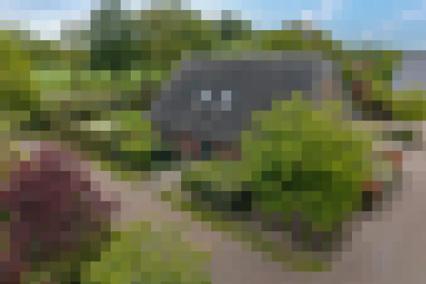 Kalterbroeken 60 Diever thumbnail 45
