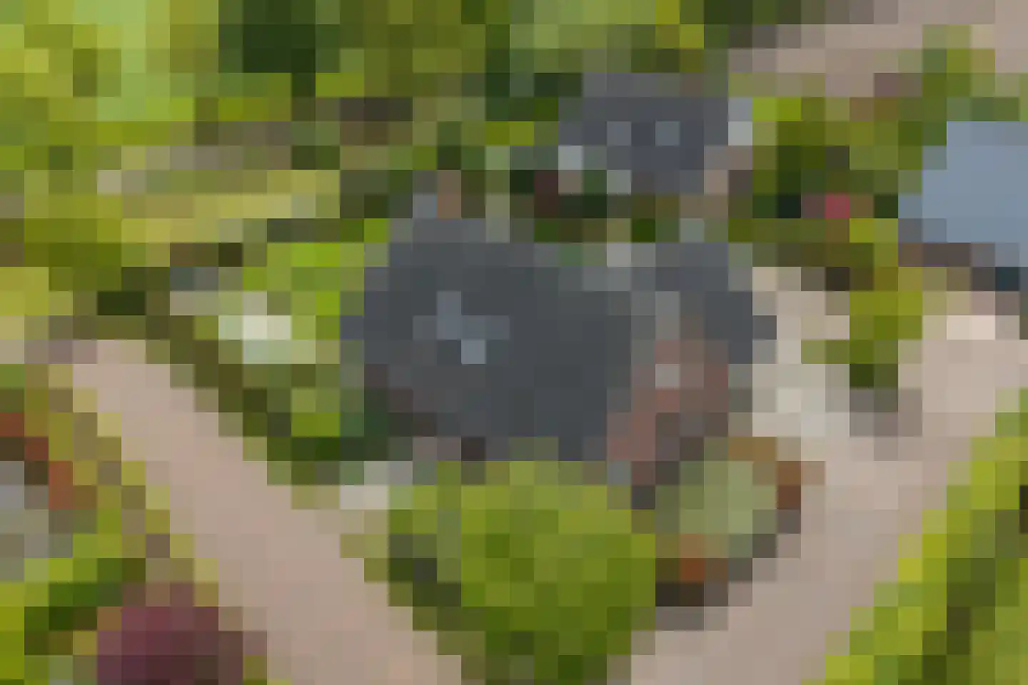Kalterbroeken 60 Diever thumbnail 46