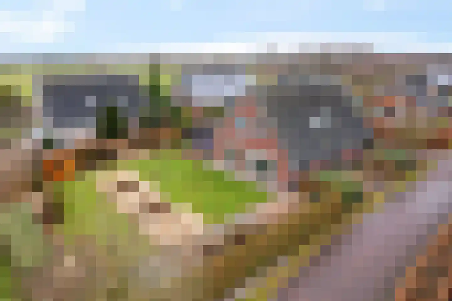 Kalterbroeken 60 Diever thumbnail 5