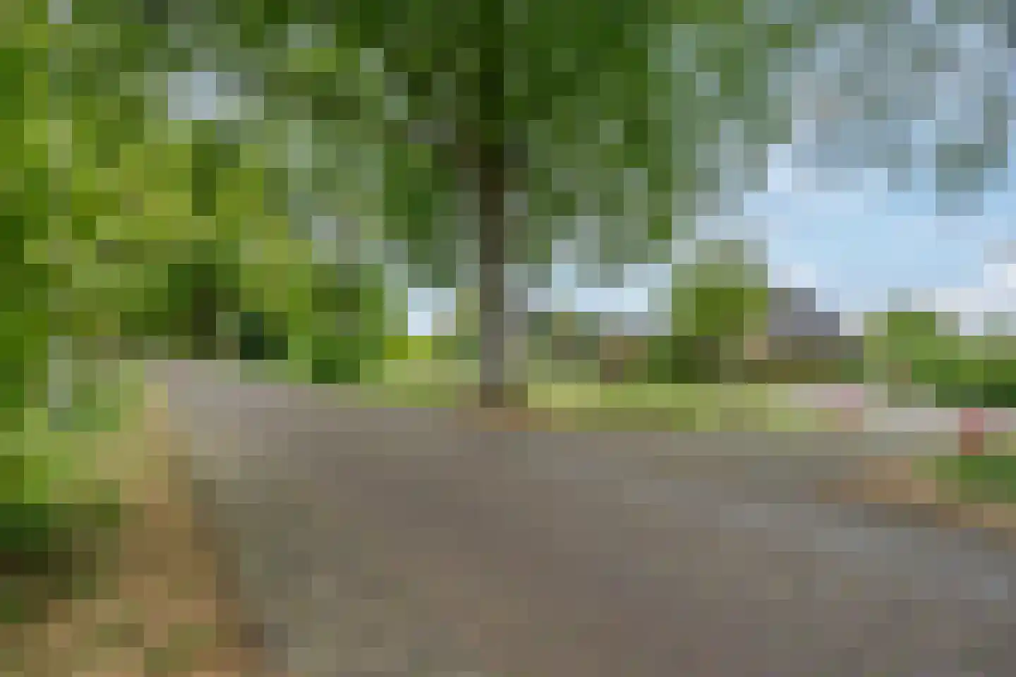 Kalterbroeken 60 Diever thumbnail 50