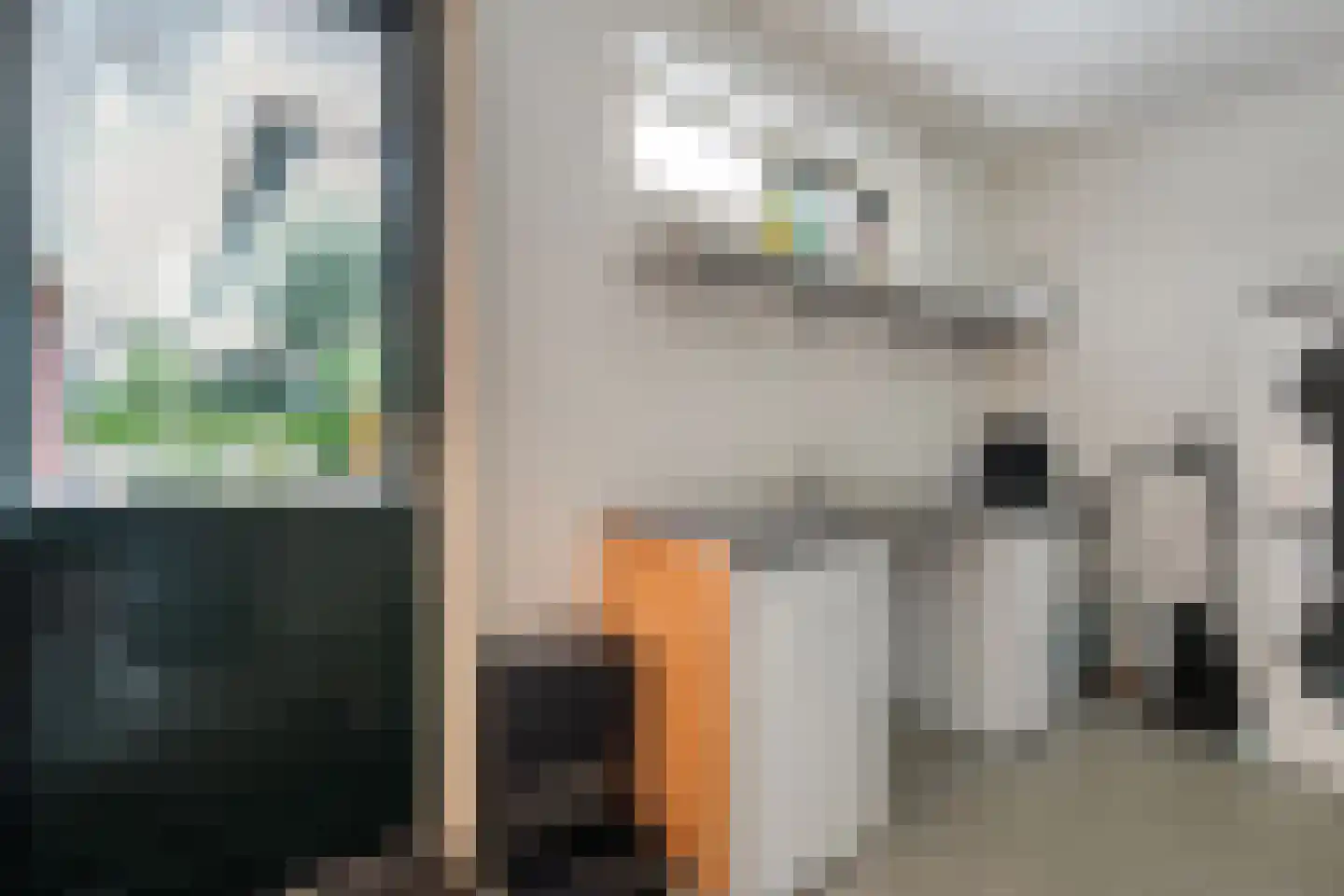 Kalterbroeken 60 Diever thumbnail 55