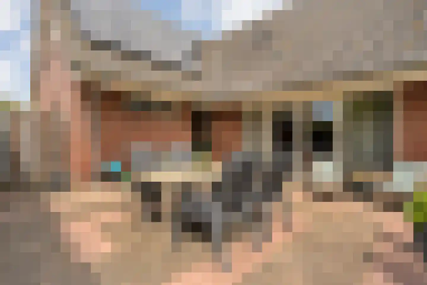 Kalterbroeken 60 Diever thumbnail 59