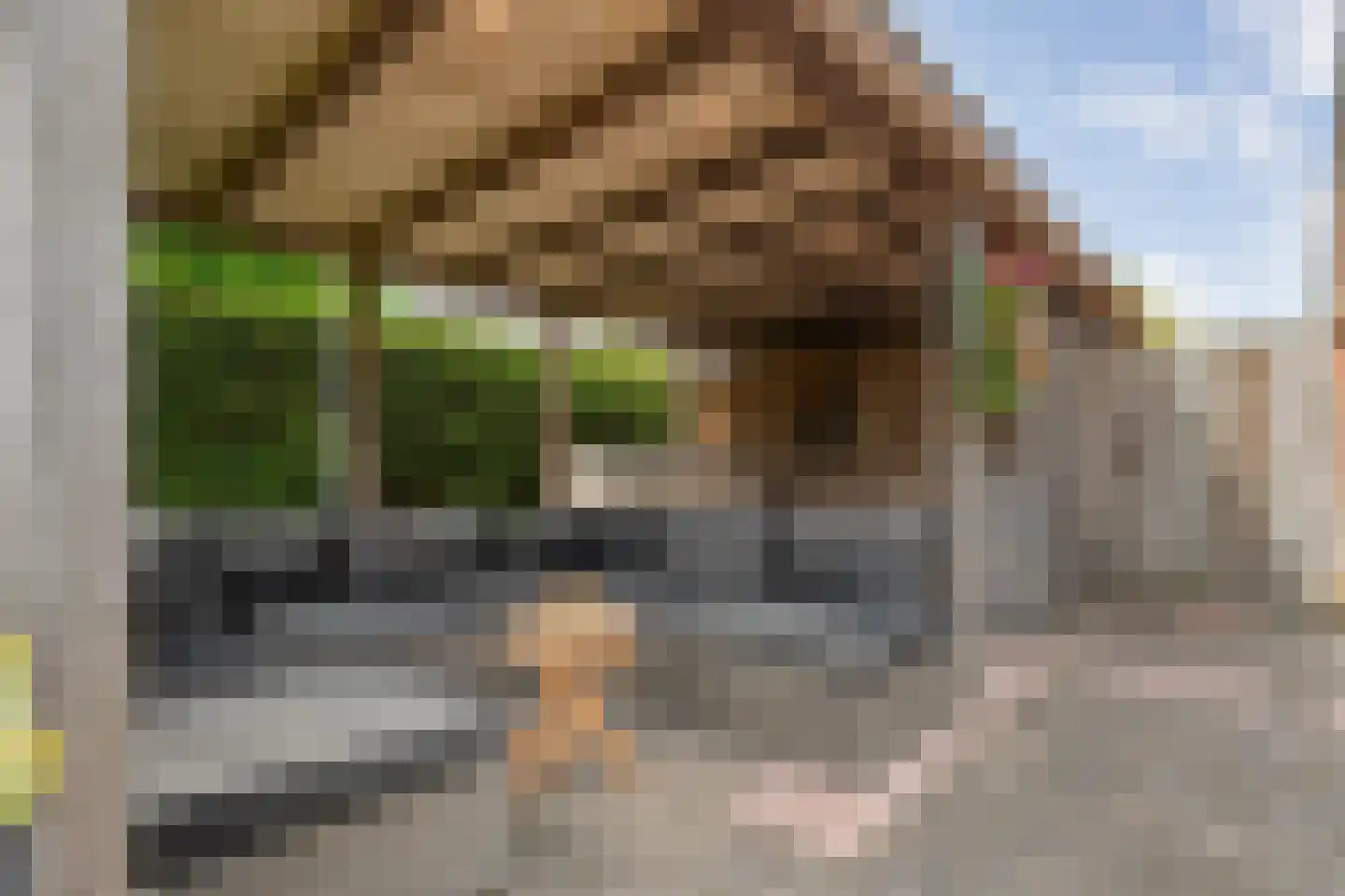 Kalterbroeken 60 Diever thumbnail 60