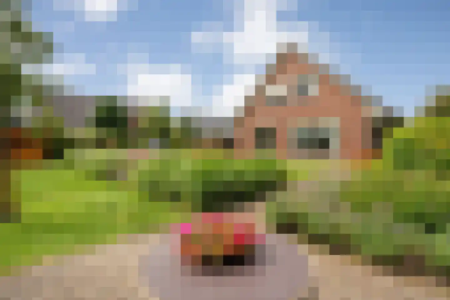 Kalterbroeken 60 Diever thumbnail 63