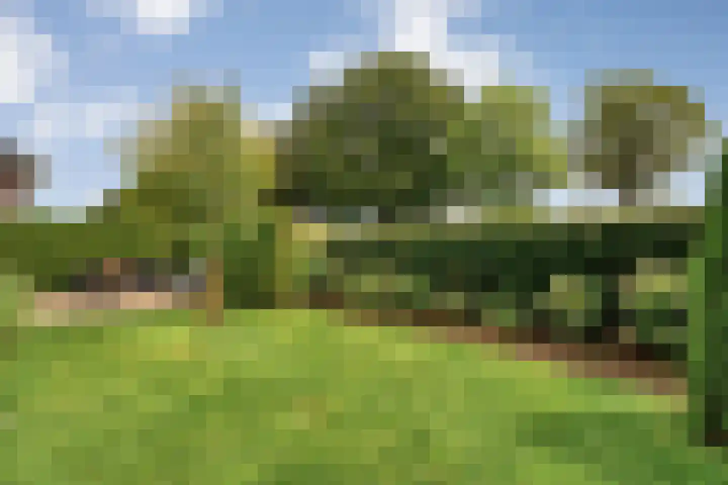 Kalterbroeken 60 Diever thumbnail 65