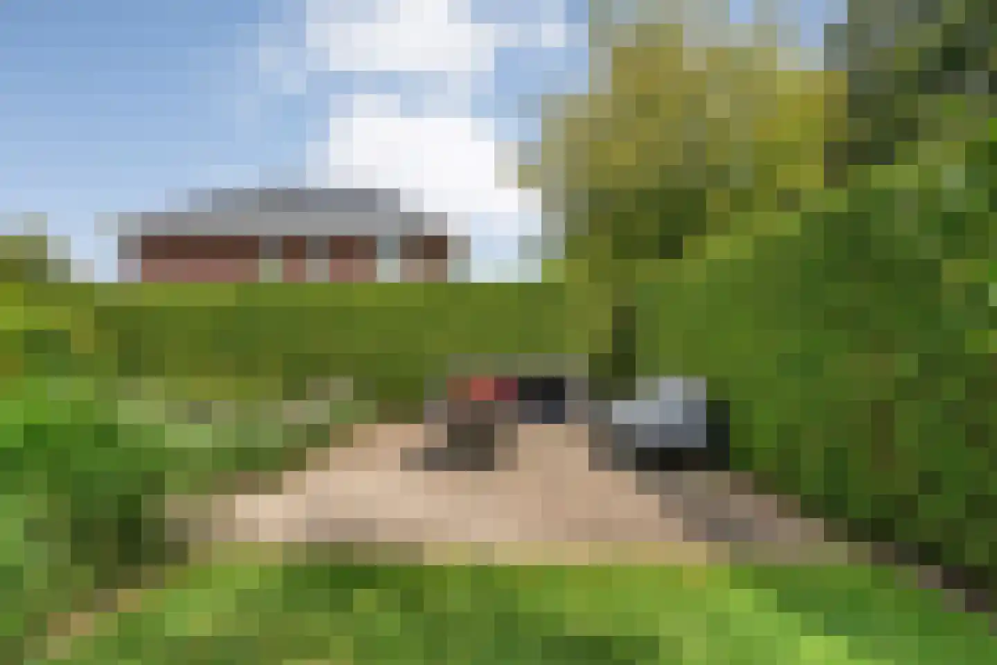 Kalterbroeken 60 Diever thumbnail 66