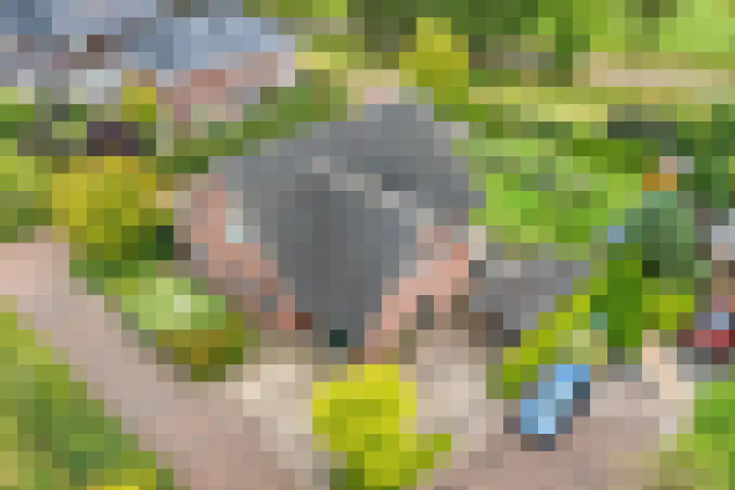 Kalterbroeken 60 Diever thumbnail 7