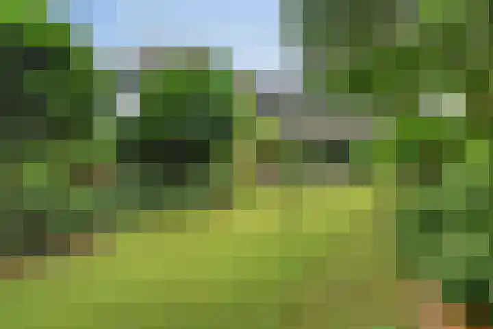 Kalundborg 23 Capelle aan den IJssel thumbnail 32