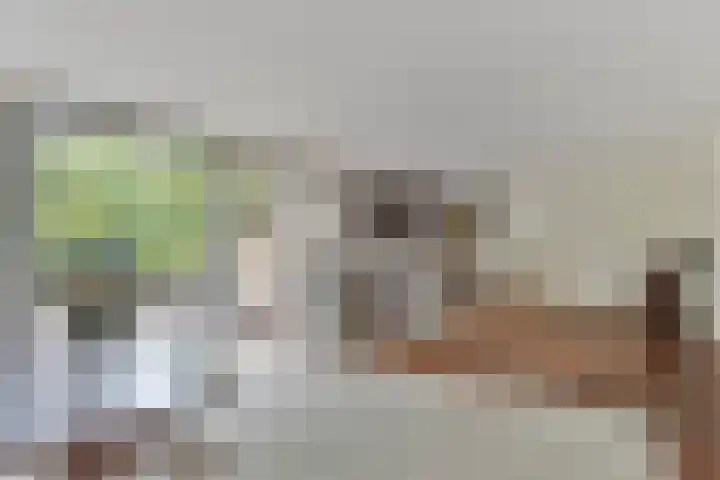 Kalundborg 23 Capelle aan den IJssel thumbnail 5