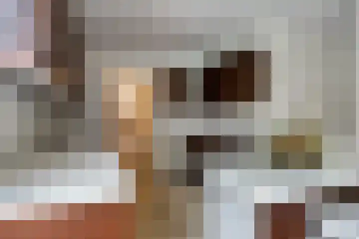 Kalundborg 23 Capelle aan den IJssel thumbnail 8