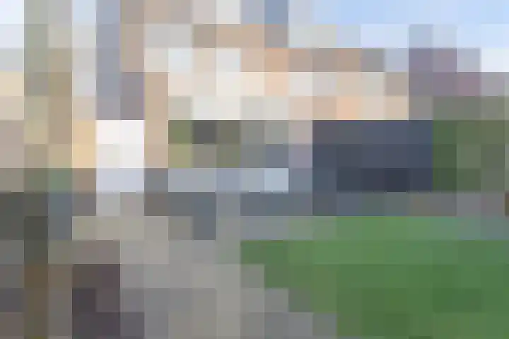 Kalverdans 1 Boskoop thumbnail 11