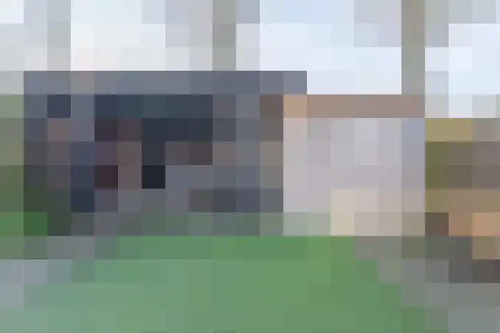 Kalverdans 1 Boskoop thumbnail 12