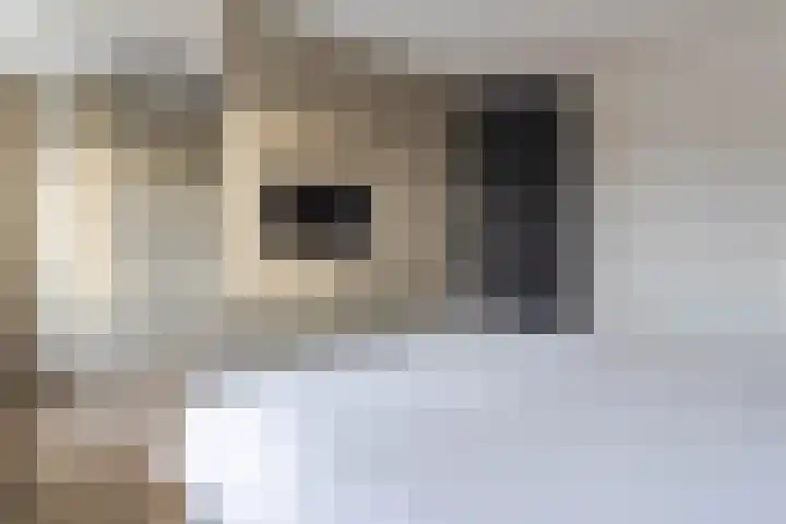 Kalverdans 1 Boskoop thumbnail 16