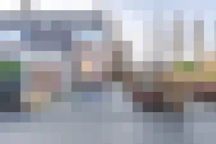 Kalverdans 1 Boskoop thumbnail 26