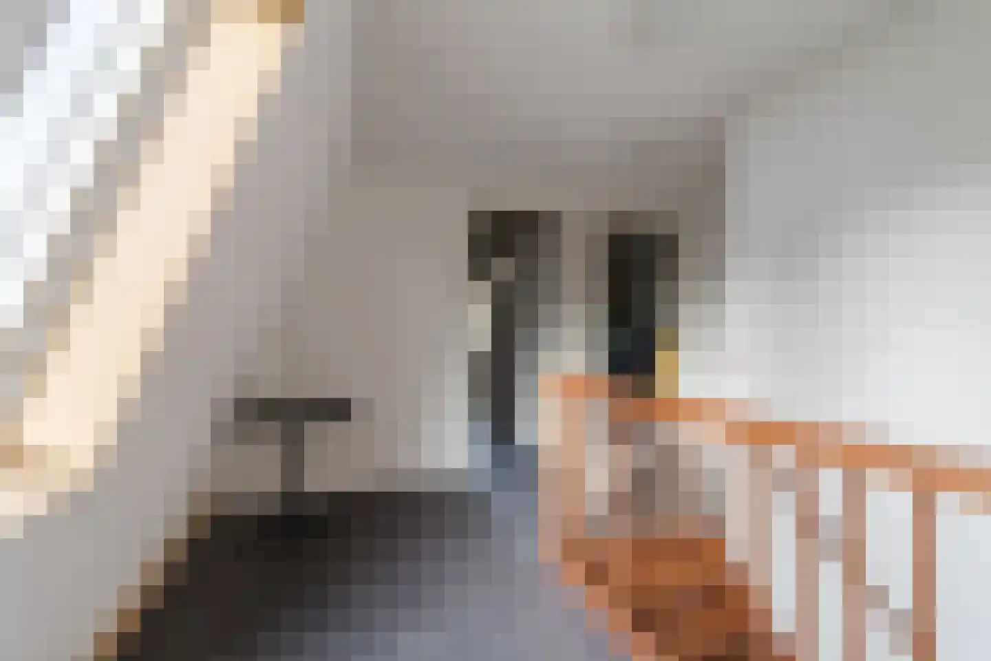 Kalverdans 28 Boskoop thumbnail 20