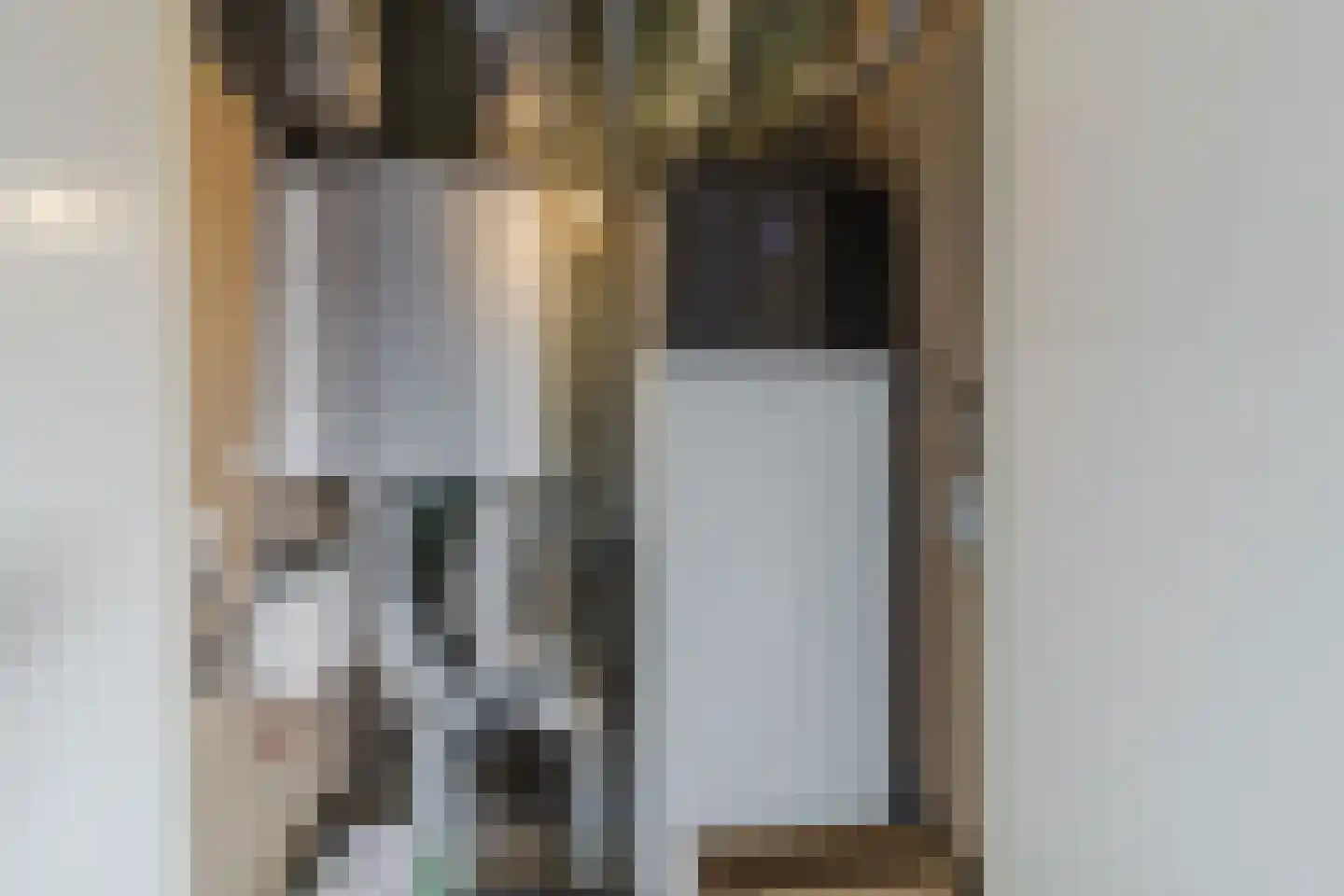Kalverdans 28 Boskoop thumbnail 32