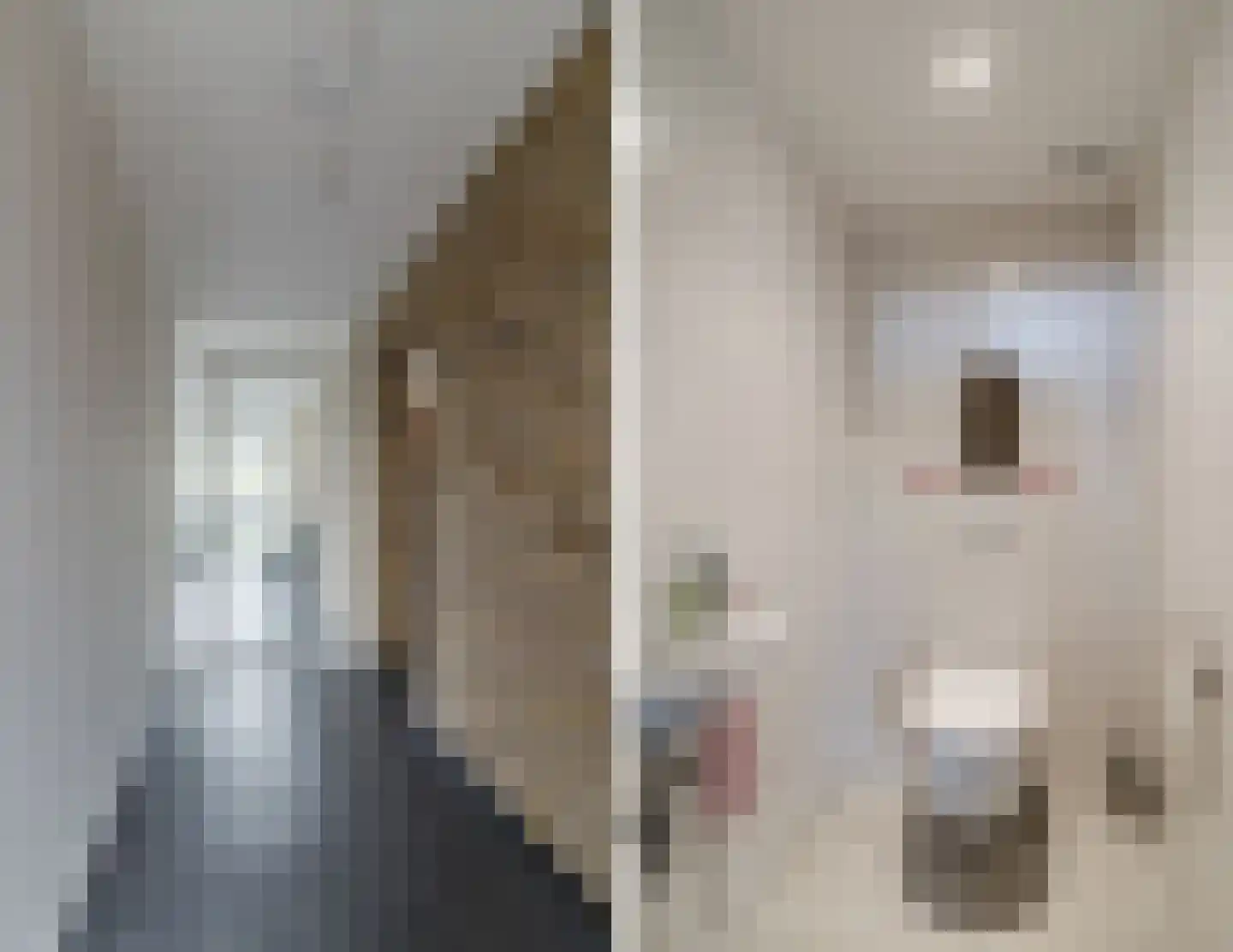 Kalverdans 28 Boskoop thumbnail 6