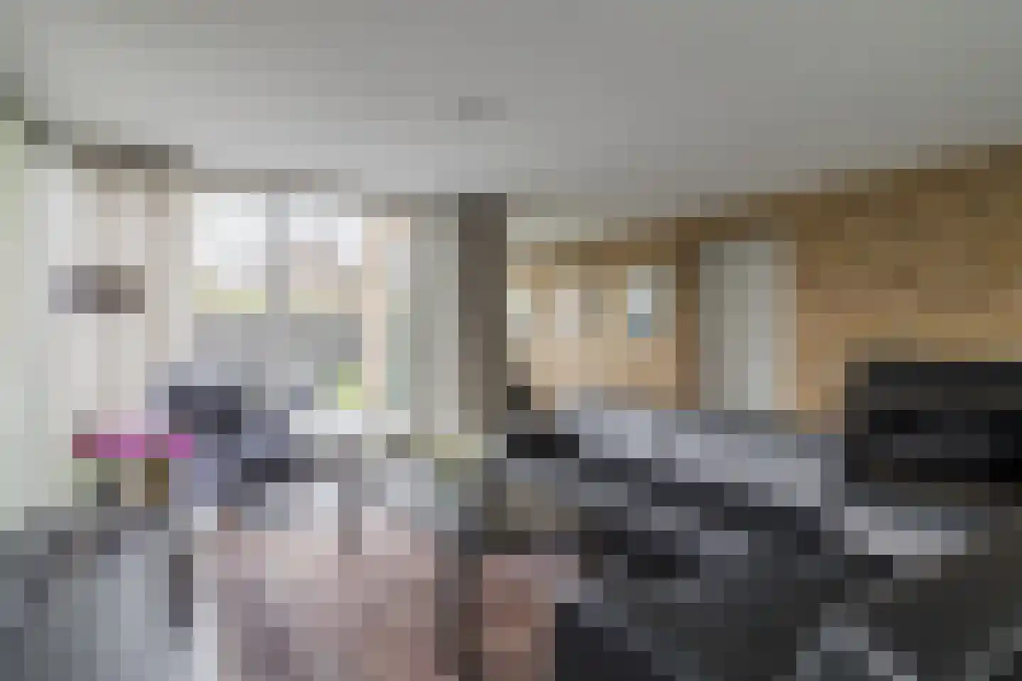 Kalverdans 28 Boskoop thumbnail 7