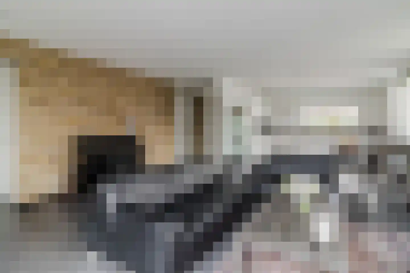 Kalverdans 28 Boskoop thumbnail 8