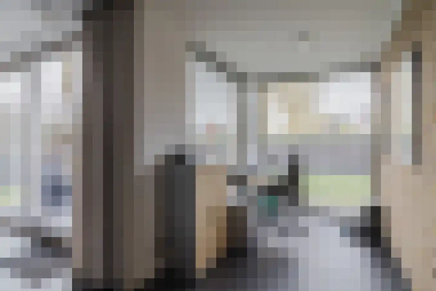 Kalverdans 28 Boskoop thumbnail 9