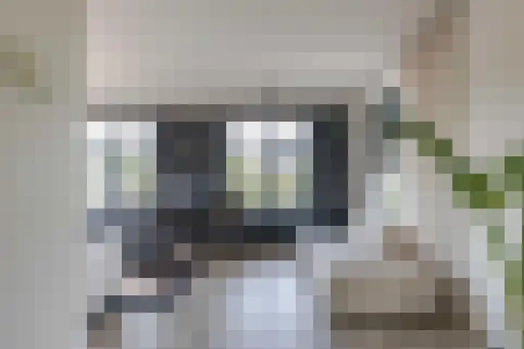 Kalverdans 32 Boskoop thumbnail 10