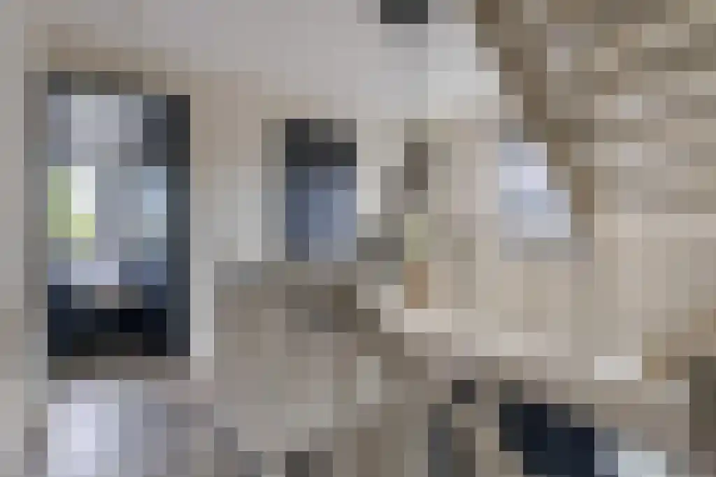 Kalverdans 32 Boskoop thumbnail 21