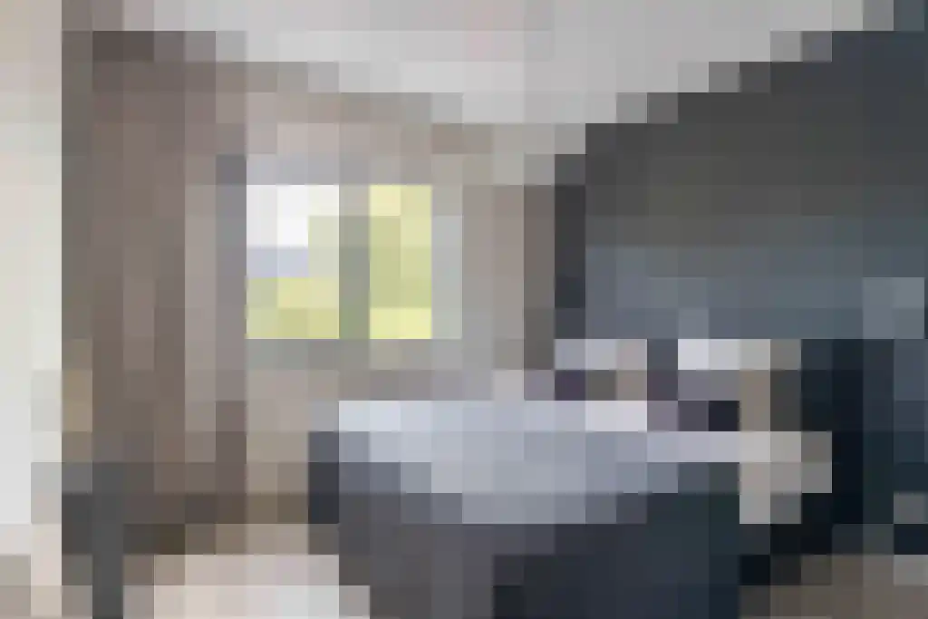 Kalverdans 32 Boskoop thumbnail 22