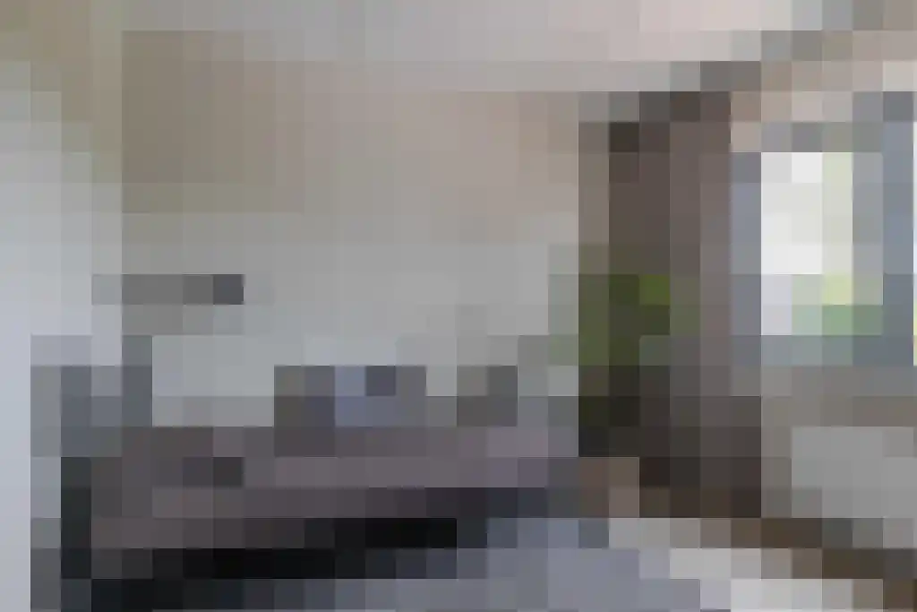 Kalverdans 32 Boskoop thumbnail 26