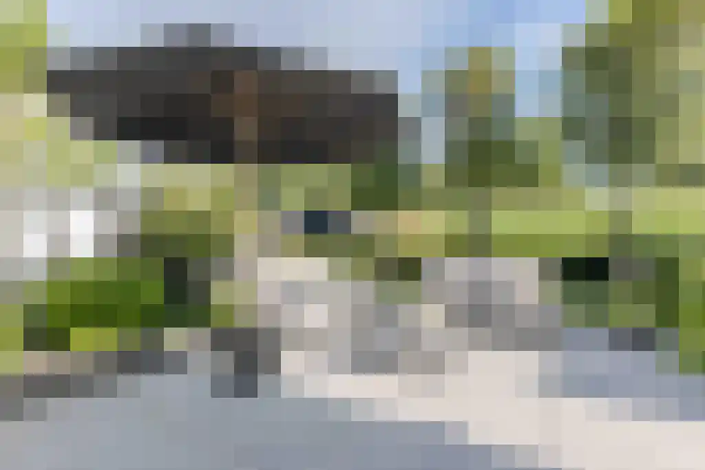 Kalverdans 32 Boskoop thumbnail 42