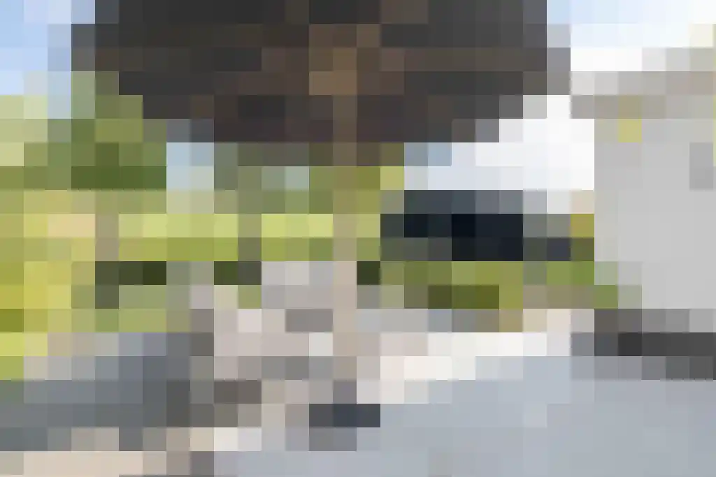Kalverdans 32 Boskoop thumbnail 43