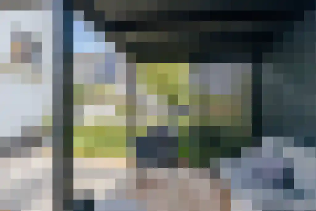 Kalverdans 32 Boskoop thumbnail 45