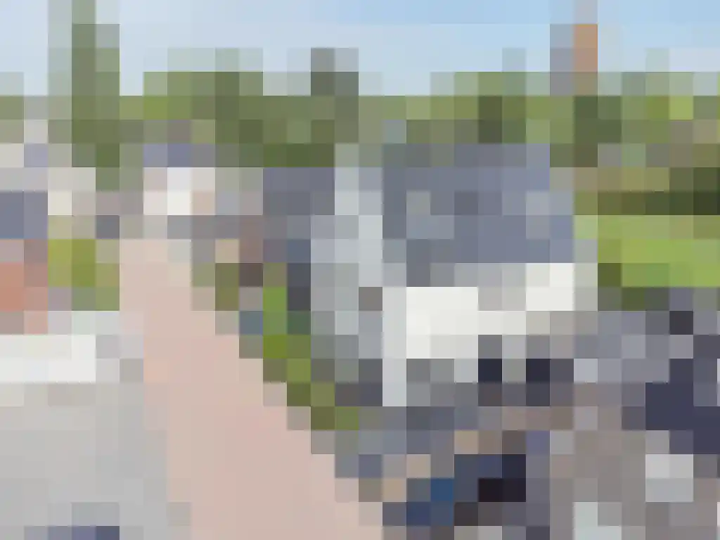 Kalverdans 32 Boskoop thumbnail 47