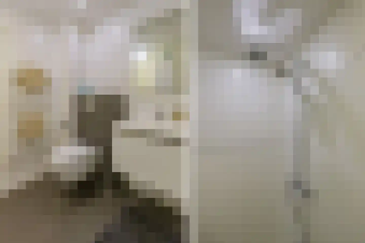 Kalverdans 9 Boskoop thumbnail 22