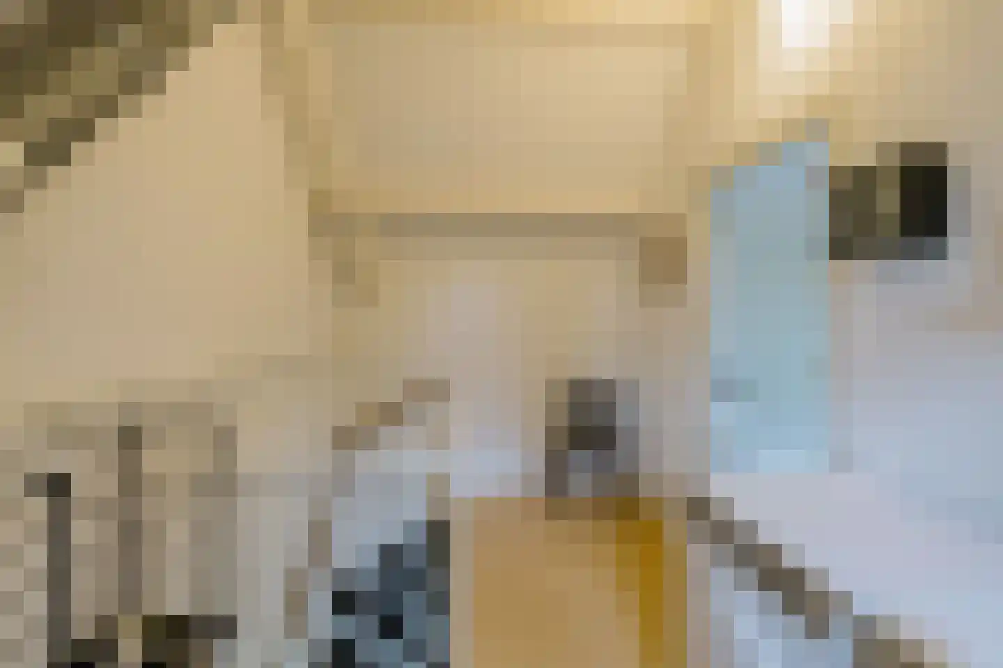 Kalverdans 9 Boskoop thumbnail 24