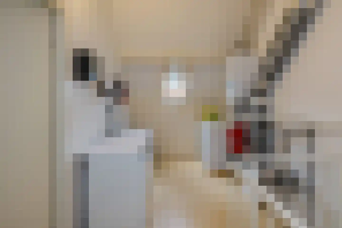 Kalverdans 9 Boskoop thumbnail 25