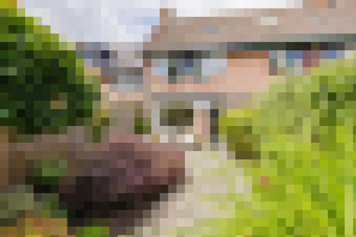Kalverdans 9 Boskoop thumbnail 29