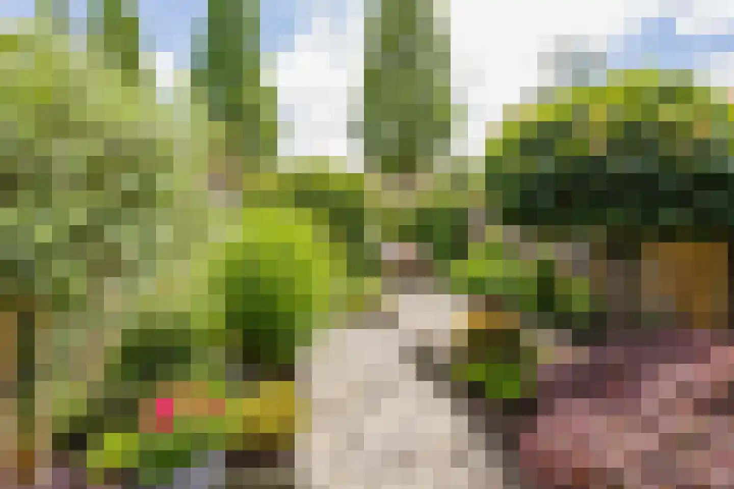 Kalverdans 9 Boskoop thumbnail 30