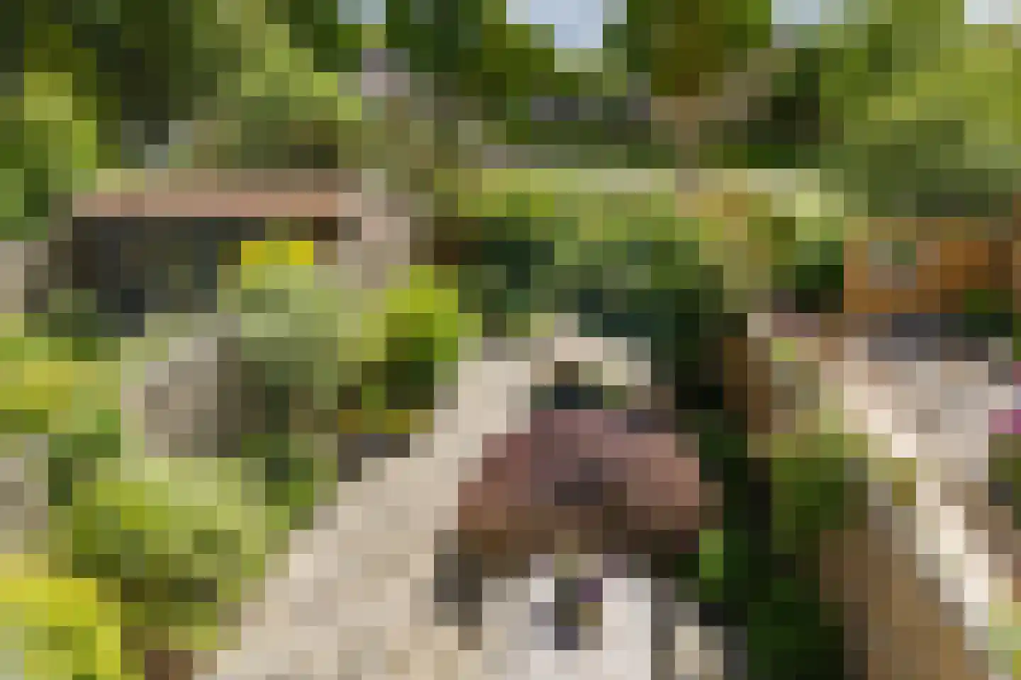 Kalverdans 9 Boskoop thumbnail 32