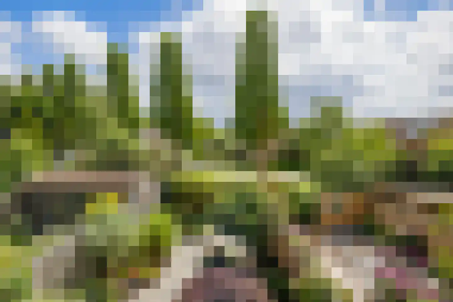 Kalverdans 9 Boskoop thumbnail 33