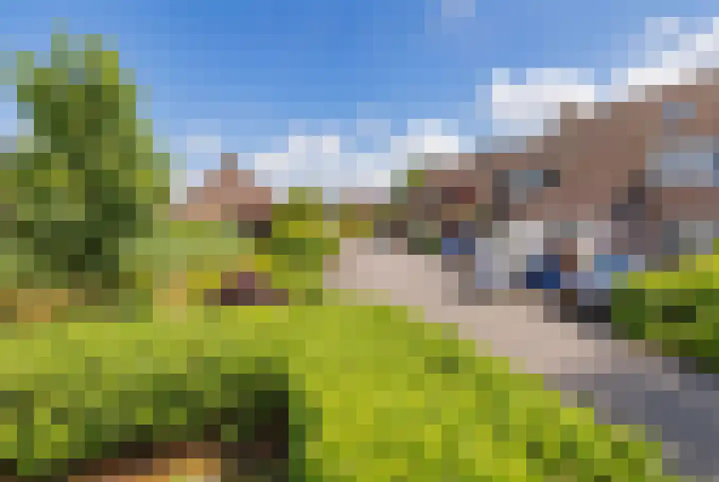 Kalverdans 9 Boskoop thumbnail 35