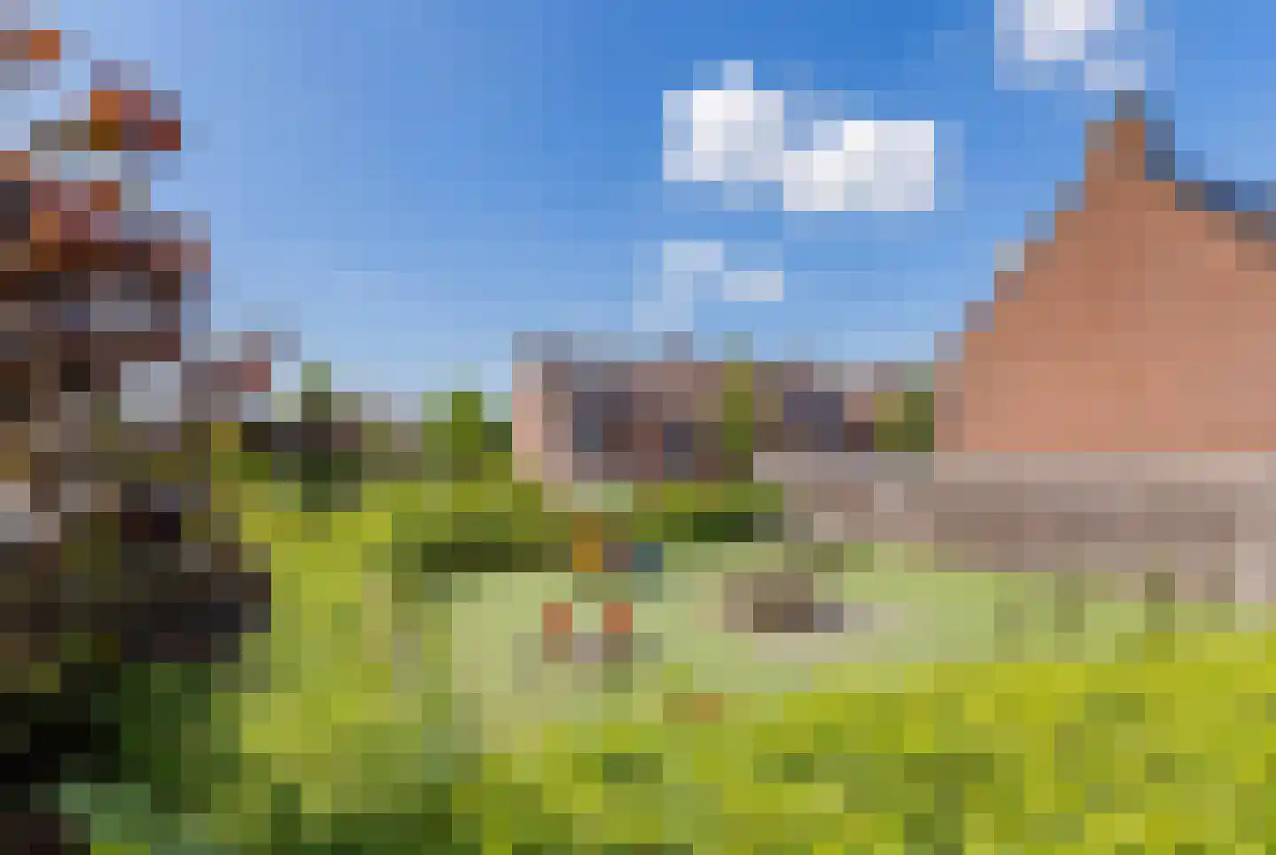 Kalverdans 9 Boskoop thumbnail 36