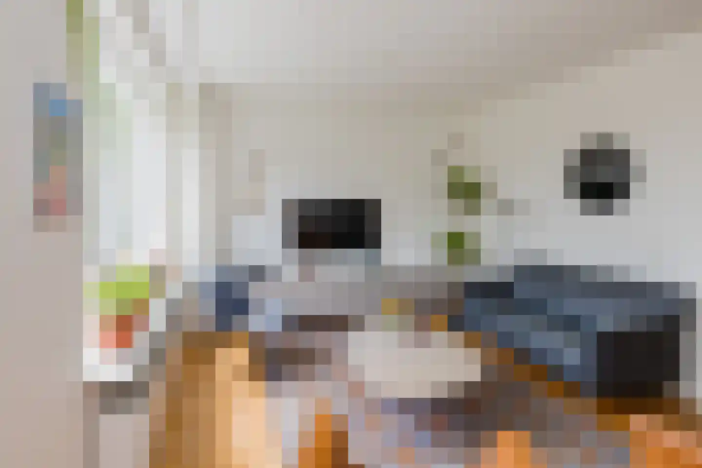 Kalverdans 9 Boskoop thumbnail 5