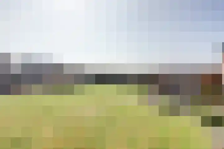 Kalverdijk 109 Tuitjenhorn thumbnail 28