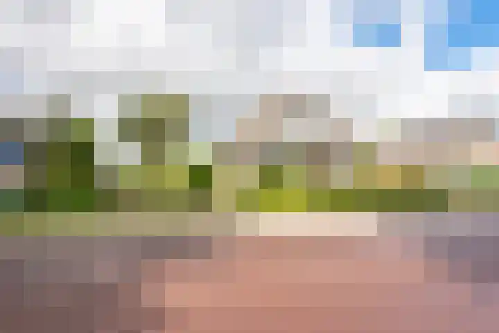 Kalverdijk 4 Tuitjenhorn thumbnail 4