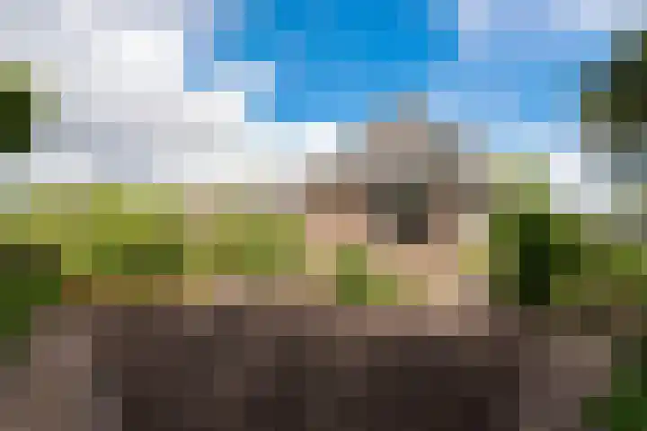 Kalverdijk 4 Tuitjenhorn thumbnail 43