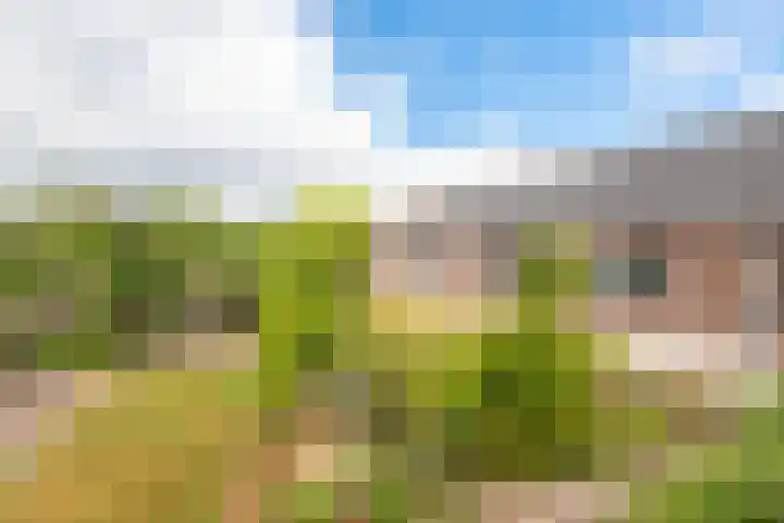 Kalverdijk 4 Tuitjenhorn thumbnail 45