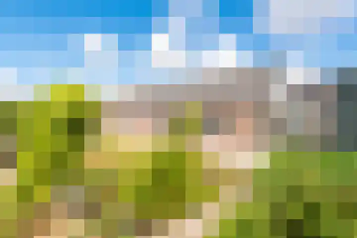 Kalverdijk 4 Tuitjenhorn thumbnail 48